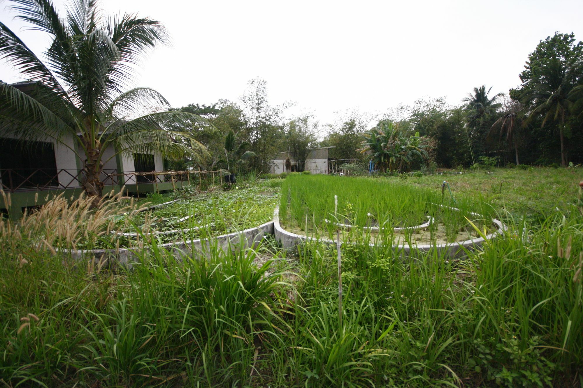 Long Lake Resort Csonburi Kültér fotó